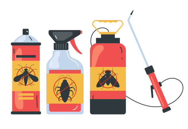 Best Pest Control Near Me  in Koloa, HI